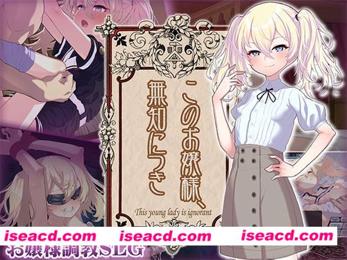【日式SLG/AI汉化】这位小姐,因无知所致/このお嬢様、無知につき V5 Ver1.2.3 AI汉化版【500M/更新】