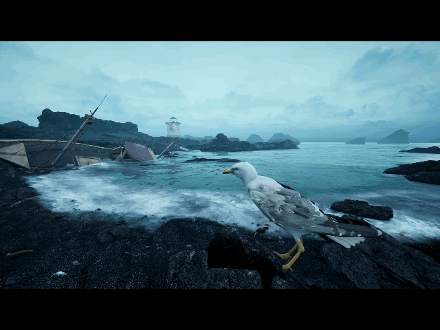 岸边/The Shore