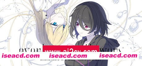 永恒之花/everlasting flowers