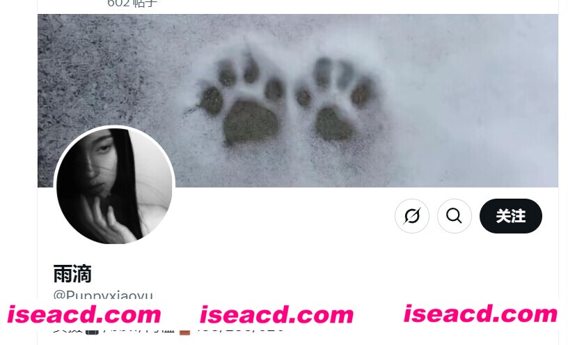 【合集/视频/步兵】推特福利姬：雨滴(@Puppyxiaoyu)  赞助视频合集步兵版 【750M】