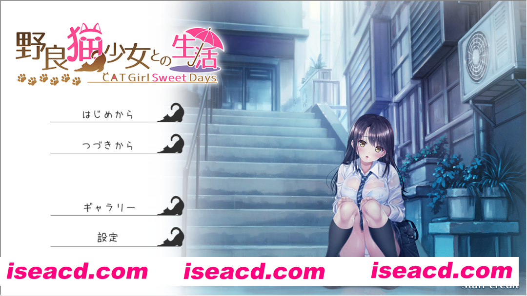 【精品SLG/汉化/同居/怀韵/中出/PC】与流浪猫少女的甜蜜日常 野猫少女的同居生活~Cat Girl Sweet Days~野良猫少女との生活 Ver1.10 挂载AI汉化版【1.75G/CV】