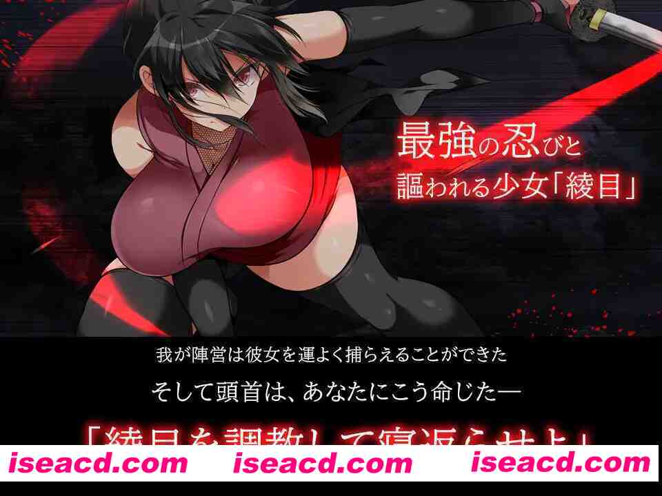 【大型SLG/官中/动态/PC】忍墮-女忍調教 女忍者堕落:忍堕とし Shinobi VB.13126066 STEAM官方中文版+DLC+攻略【11.3G】