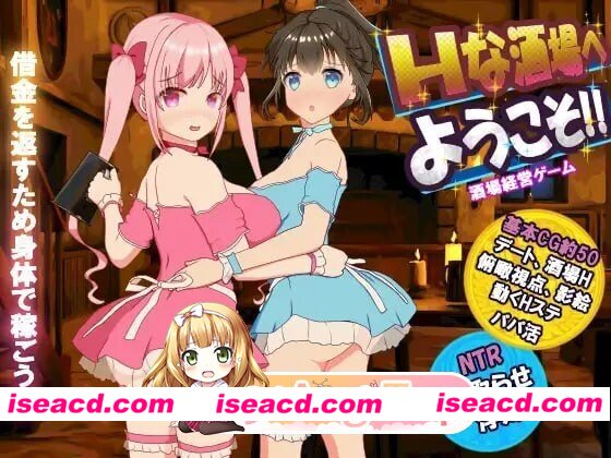 [PC-SLG] [SLG/2D/亚洲]欢迎来到超H酒馆！Hな酒場へようこそ v1.60 汉化版[PC/0.18G] [BD]